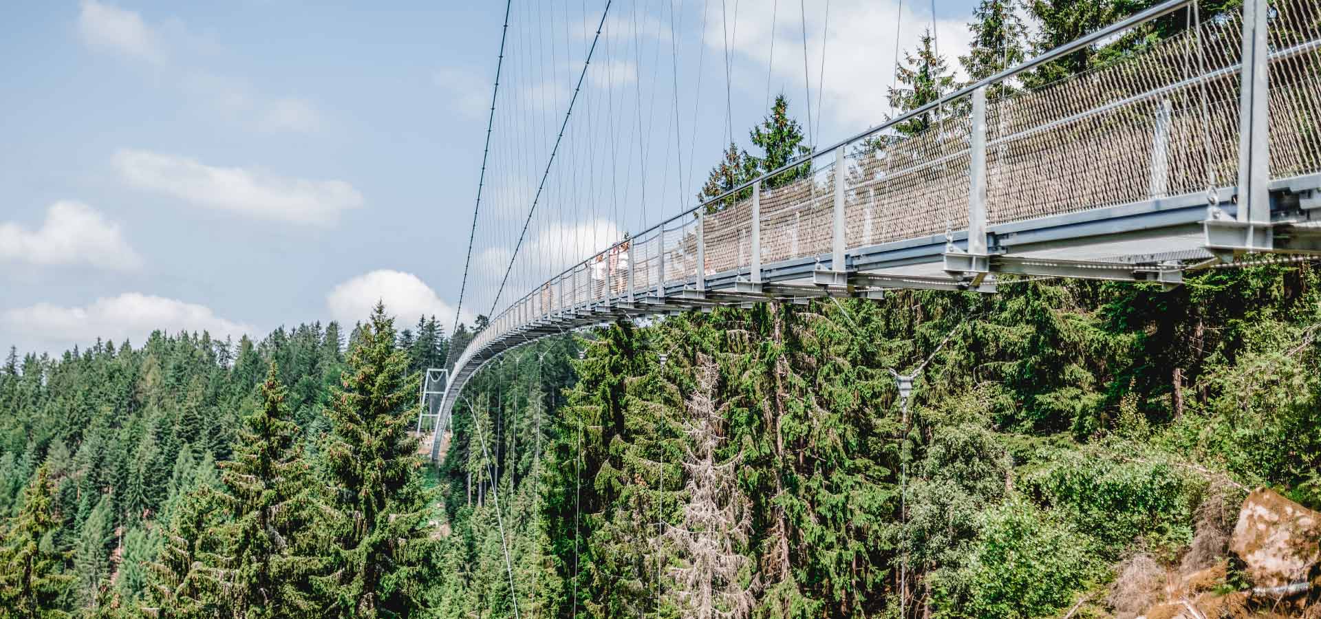 Menschen laufen über die WILDLINE Hängebrücke über einem Wald im Sommer