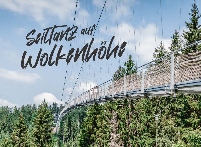 Menschen laufen über die WILDLINE Hängebrücke über einem Wald im Sommer mit Überschrift