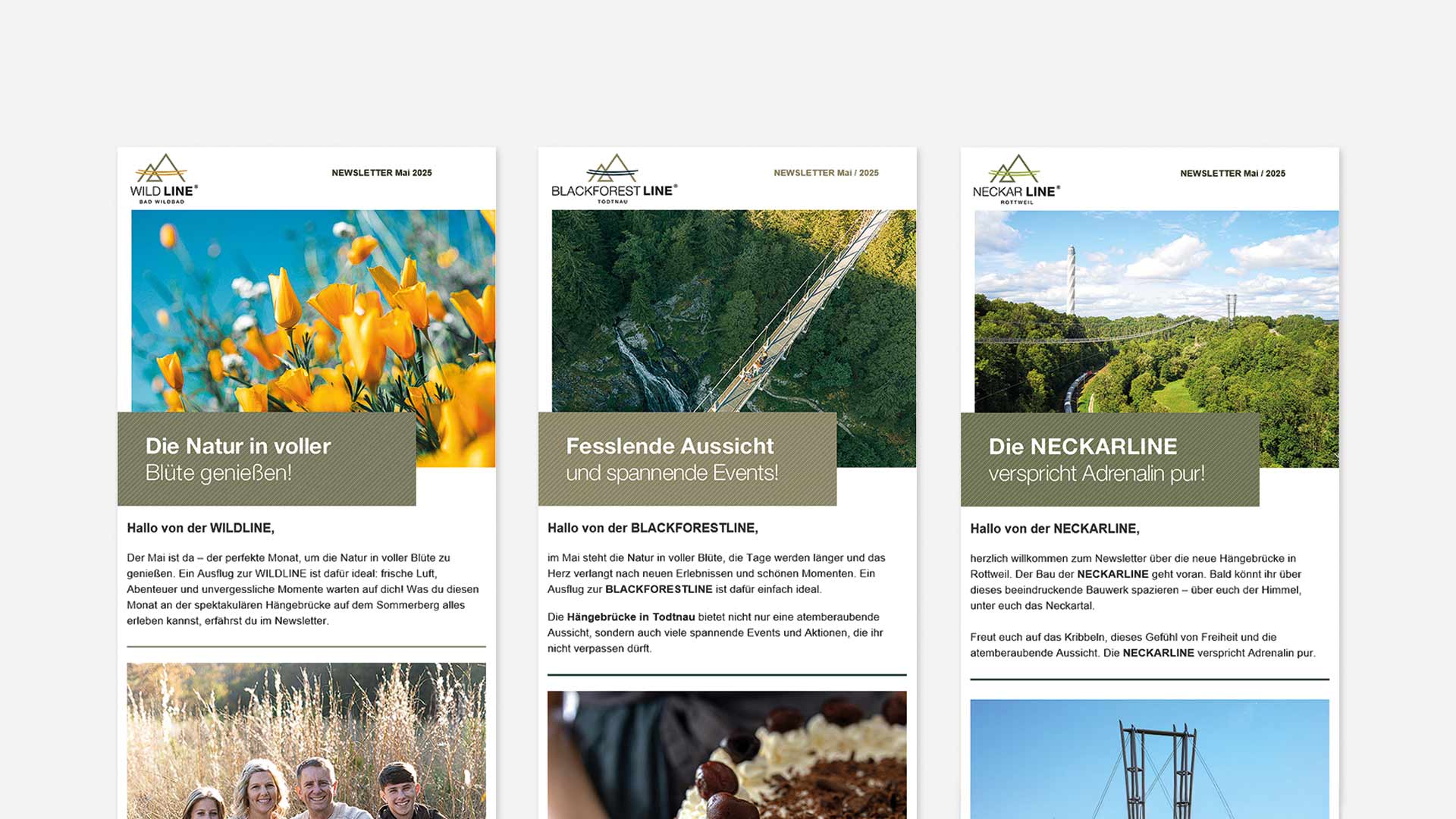 Abbildung der Newsletter der BLACKFORESTLINE, der WILDLINE und der NECKARLINE.